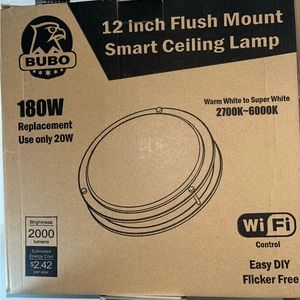 Smart Ceiling Lamp